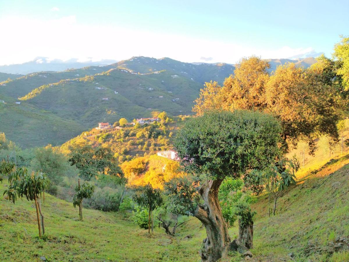 Villa Las Encinas Costa Del Sol Torrox Bagian luar foto