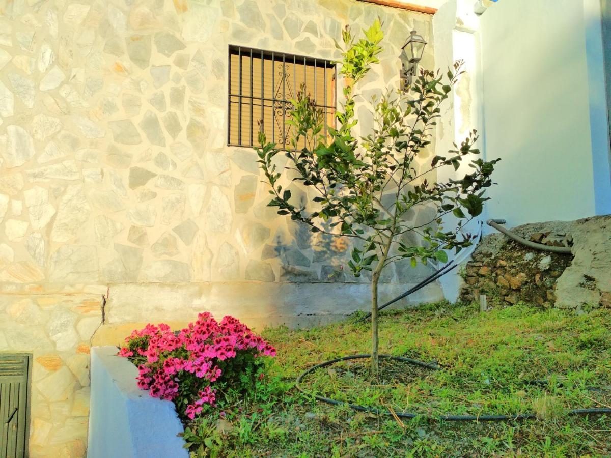 Villa Las Encinas Costa Del Sol Torrox Bagian luar foto