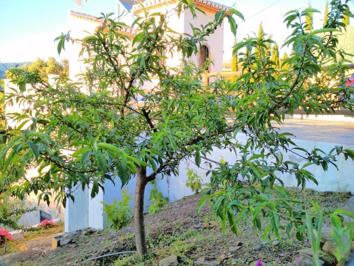 Villa Las Encinas Costa Del Sol Torrox Bagian luar foto